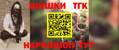 индика Заводоуковск