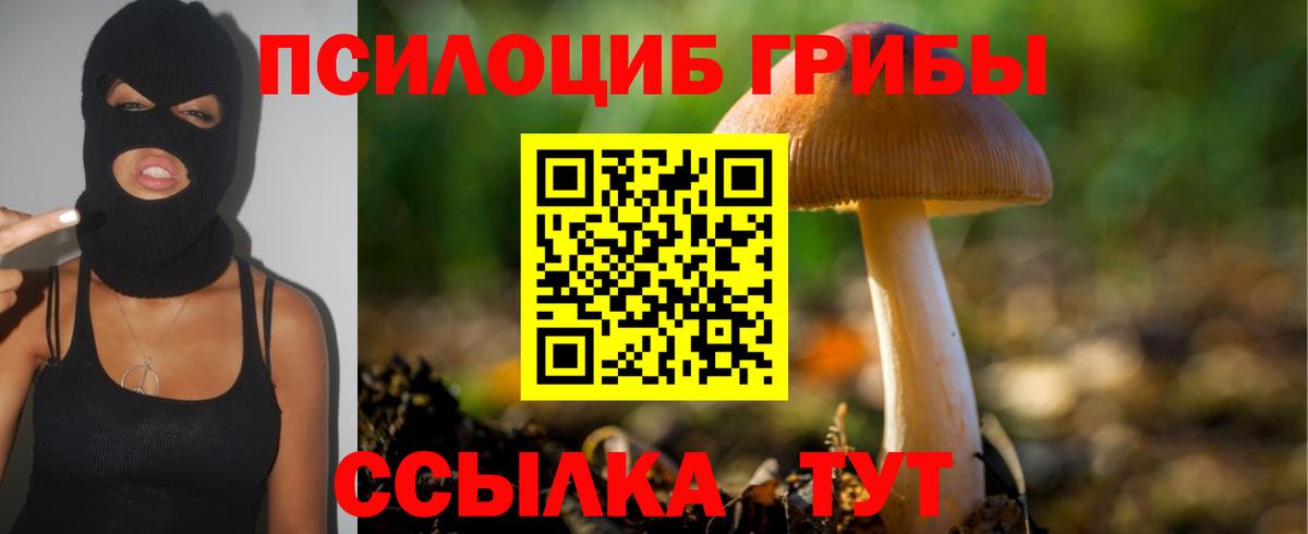 Галлюциногенные грибы Psilocybine cubensis Кулебаки